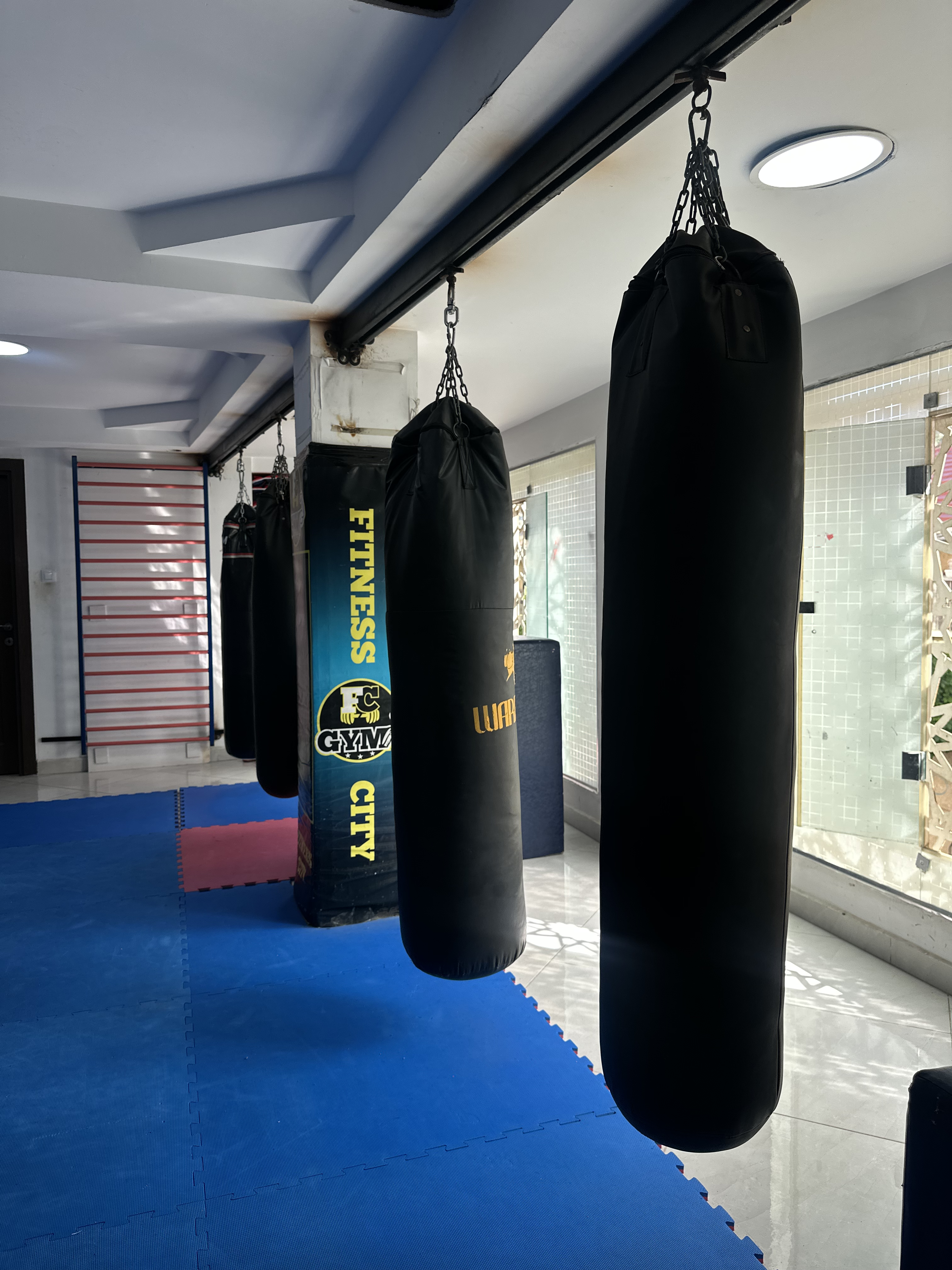 Heavy Bag